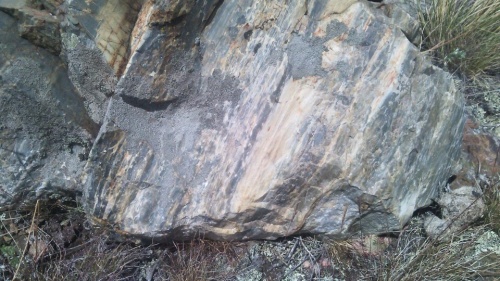 Гигантские зелёные валуны для ландшафтного дизайна весом более 5 тонн купить в Домодедово